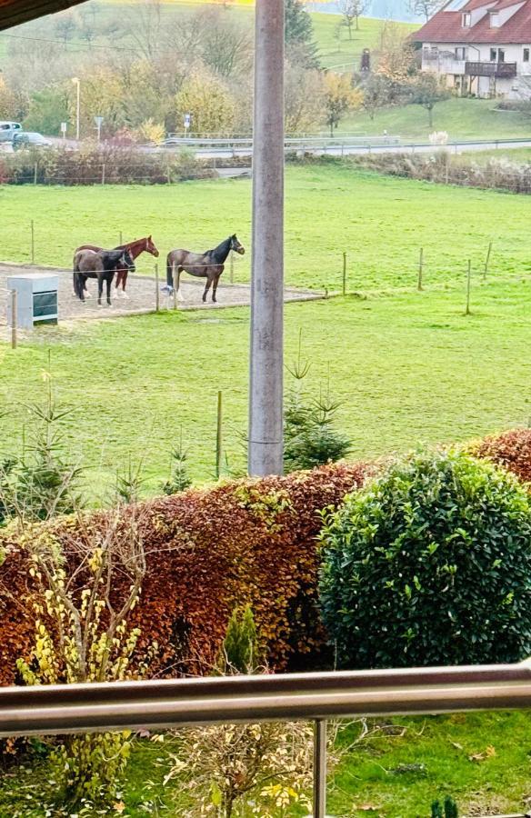 Landloft Lägenhet Oberteuringen Exteriör bild